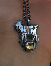 Load image into Gallery viewer, Folklore Goat Eye Familiar~