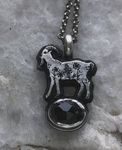 Load image into Gallery viewer, Onyx Folklore familiar ~ Spring Goat