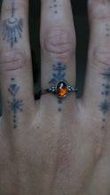 Load image into Gallery viewer, Autumn Ember~ size 6.75