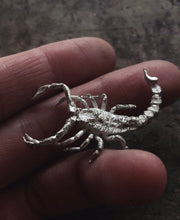 Load image into Gallery viewer, Scorpion Shadowbox Necklace Preorder