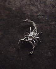 Load image into Gallery viewer, Scorpion Shadowbox Necklace Preorder