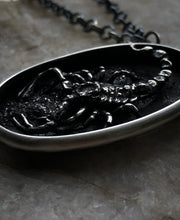 Load image into Gallery viewer, Scorpion Shadowbox Pendant