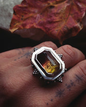 Load image into Gallery viewer, Harvest Morning Star ~ size 6.5-6.75