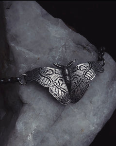 Atlas Moth ~