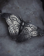 Load image into Gallery viewer, Atlas Moth ~