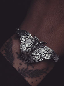 Atlas Moth ~