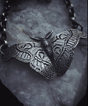 Load image into Gallery viewer, Atlas Moth ~