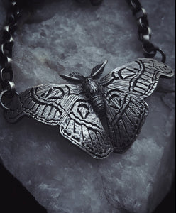 Atlas Moth ~