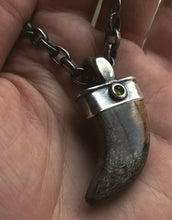 Load image into Gallery viewer, Fossilized Wood + Tourmaline Talon Pendant