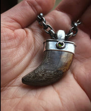 Load image into Gallery viewer, Fossilized Wood + Tourmaline Talon Pendant