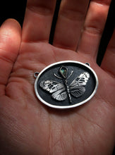 Load image into Gallery viewer, Heliconius + Spinel Butterfly Study