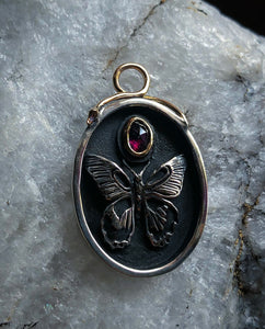 Papilio Rumanzovia + Sapphire