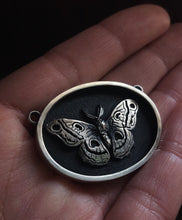 Load image into Gallery viewer, Cecropia Moth