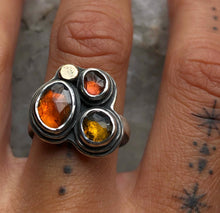 Load image into Gallery viewer, Autumn Bundle IV ~ size 7.25