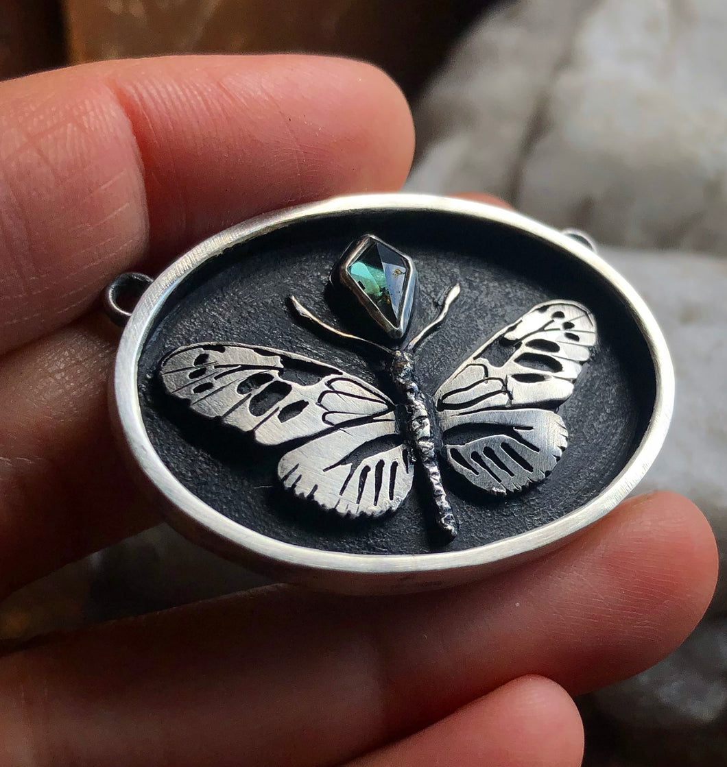 Heliconius + Spinel Butterfly Study