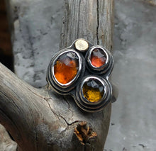 Load image into Gallery viewer, Autumn Bundle IV ~ size 7.25